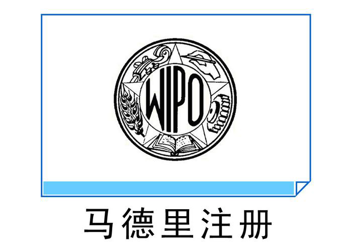 马德里指定代理人是什么意思_马德里商标国际注册