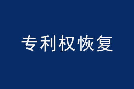 专利权恢复适用范围_专利权恢复条件